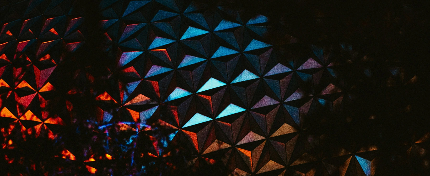 portfolio5